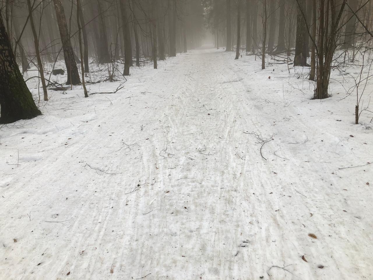 Лыжная трасса Нововоронино